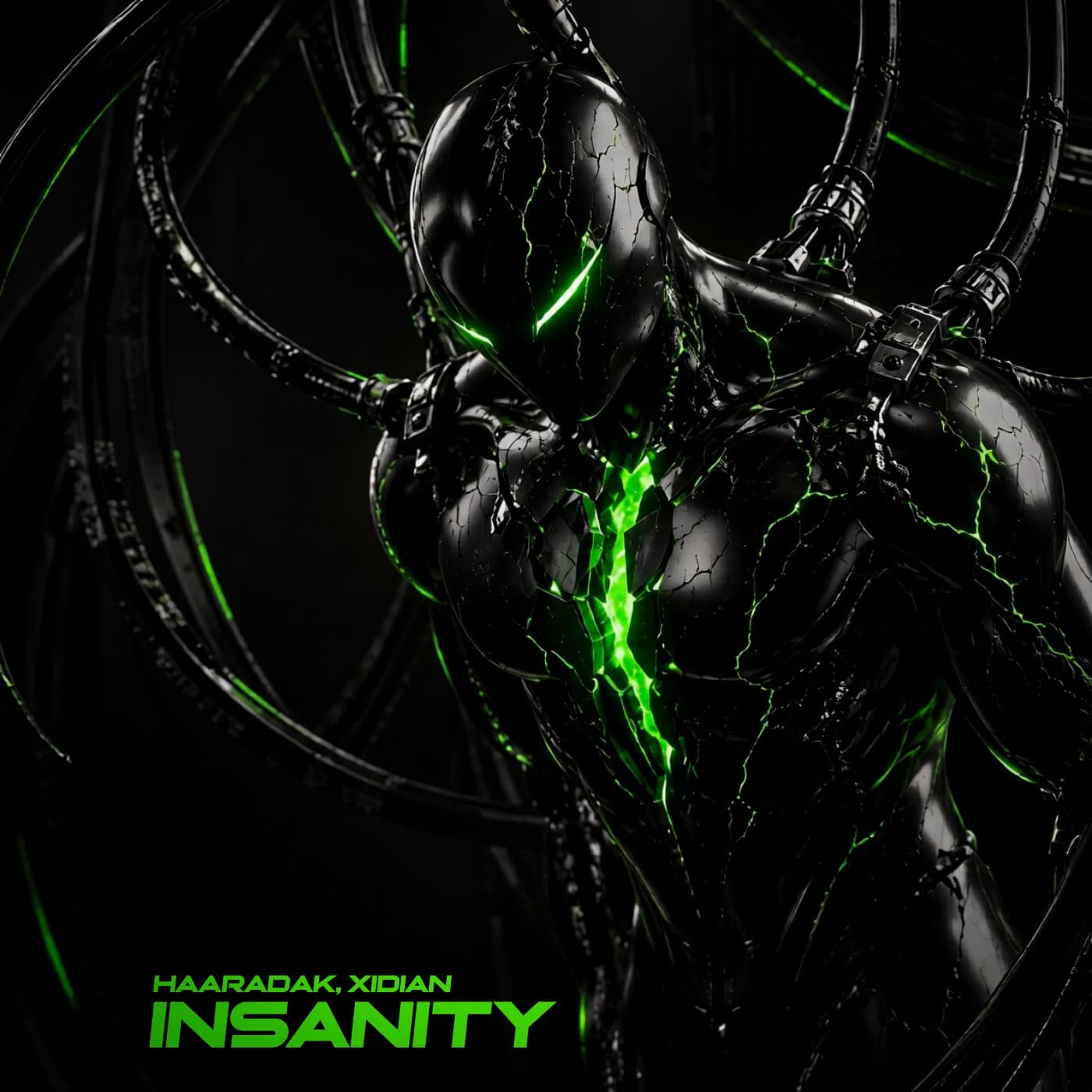 INSANITY — Haaradak & Xidian artwork